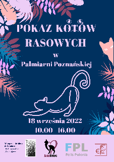 Pokaz Kotów Rasowych w Palmiarni Poznańskiej