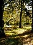 Prelekcja - Blaski i cienie w Ogrodzie