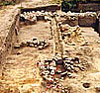 Wystawa: Badania archeologiczne na Nizinie Wielkopolsko-Kujawskiej 2006-2007