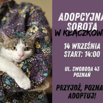 Zdjęcie przedstawia szaro-białego kota w ramionach kobiety. Ma żółte oczy i różowy nos. Z boku znajduje się nazwa wydarzenia.
