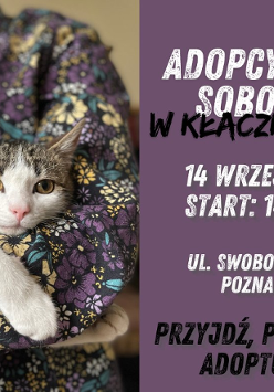 Zdjęcie przedstawia szaro-białego kota w ramionach kobiety. Ma żółte oczy i różowy nos. Z boku znajduje się nazwa wydarzenia.