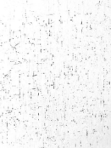 Abstarakcyjny obraz przypominający pomalowaną na biało korę.