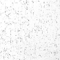 Abstarakcyjny obraz przypominający pomalowaną na biało korę.