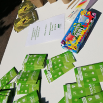 akcje edukacyjne z koncertem "Zieloni od 30 lat - jubileusz z klimatem" w ramach Akademii Zielony Poznań*, przed Palmiarnią Poznańską w Parku Wilsona