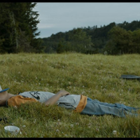 ALE KINO! Kwiaty na drodze