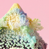 ANIMATOR. Filmy bez zasad