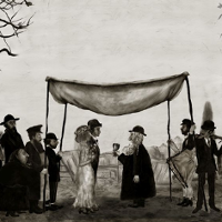 ANIMATOR. Forma i treść