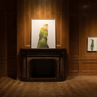 Archiwum ciał nie-ludzkich