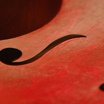 Na obrazku widać środkową część instrumentu przypominającego skrzypce.