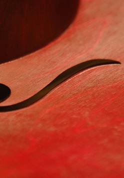 Na obrazku widać środkową część instrumentu przypominającego skrzypce.