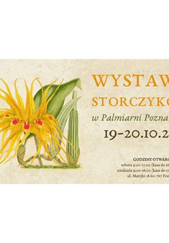 Baner: żółty kwiat storczyka.