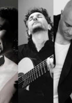 baner