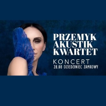 Grafika przedstawia twarz Renaty Przemyk z profilu przysłoniętą kołnierzem sukni na granatowym tle. Napis na prawej stronie ilustracji Przemyk Akustik Kwartet Koncert 28.08 Dziedziniec Zamkowy.