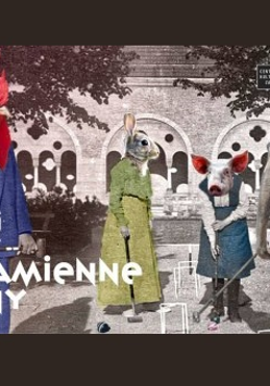 Czarno-biała fotografia Dziedzińca Różanego z czasów cesarskich. Półokrągłe okna z kolumienkami, roślinność. Na pierwszym planie cztery postacie w strojach z epoki, jeden mężczyzna, trzy kobiety. Grają w krokieta. Ich ubrania zostały pokolorowane, głowy natomiast zastąpiono łbami zwierząt: koguta, królika, świni i słonia. W prawym górnym rogu grafiki zamieszczona jest sygnatura Centrum Kultury Zamek, w lewym, dolnym napis: "kamienne sny' oraz logo teatru Usta Usta Republika.