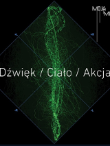 Zdjęcie przedstawia obraz dźwięku stereo w kolorze bladozielonym; przez obraz drgających spirali przechodzi tytuł koncertu: Dźwięk/Ciało/Akcja.