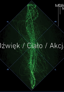 Zdjęcie przedstawia obraz dźwięku stereo w kolorze bladozielonym; przez obraz drgających spirali przechodzi tytuł koncertu: Dźwięk/Ciało/Akcja.