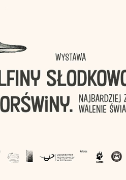 Na różowym tle wizerunek morświna.