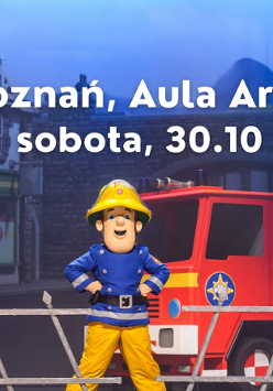 Wizerunki postaci z bajki.