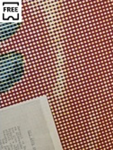 Tym, co dominuje na obrazie, jest tło - przypominające obrus podłoże w kolorze jasnego brązu. Tło jest symetrycznie nakrapiane biało-żółtymi kółkami. W lewej stronie znajdują się dwa niebiesko-zielone kształty. Być może to palce osoby, która czyta treść kartki. Róg papieru ukazuje się w dolnej części grafiki. Znajduje się tam fragment tekstu, który zaczyna się od "Můj útěk".