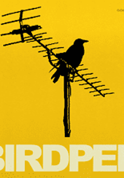 Na żółtym tle nazwa zespołu i czarny ptaszek siedzący na antenie telewizyjnej.