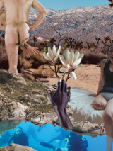 Obraz promujący wystawę to kolaż autorstwa Magdaleny Sobolskiej. Utrzymany jest w brązowo-niebieskich odcieniach. Na pierwszym planie znajduje się oczko wodne, w nim zanurzone są nurkinie. Z wody wyłania się czarna dłoń ze złotymi opuszkami palców, z których wyrasta lilia.