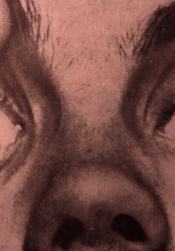 Jedna z prac artysty.