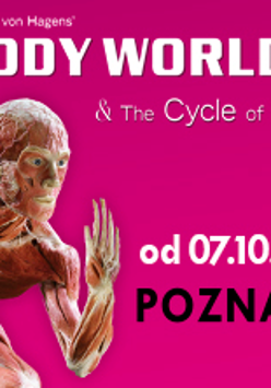 Baner promujący wystawę.