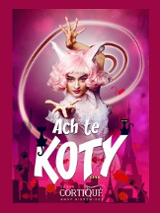 Na banerze napis "Ach te koty" i zdjęcie jednej z artystek ze sztuki.
