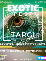 Baner promujący wydarzenie. Nazwa wydarzenia i data nałożone na zdjęcie części głowy z okiem jaszczurki.