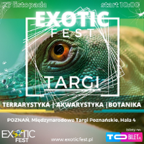 Baner promujący wydarzenie. Nazwa wydarzenia i data nałożone na zdjęcie części głowy z okiem jaszczurki.