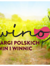 Baner promujący wydarzenie. Nazwa wydarzenia z niewyraźnym zdjęciem winnicy w tle.