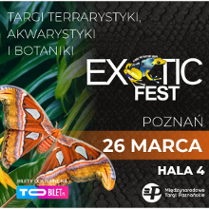 Baner promujący wydarzenie.