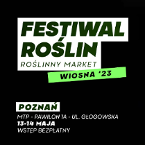 Baner promujący wydarzenie. Nazwa wydarzenia i data.