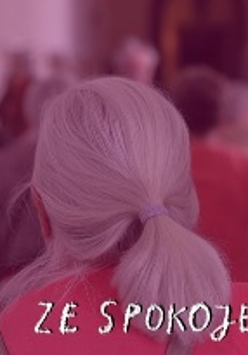 Zdjęcie grupy osób w jednym z zamkowych korytarzy. Na pierwszym planie siwowłosa kobieta odwrócona plecami do obiektywu. W tle nieostre sylwetki pozostałych zwiedzających. Przez okna umieszczone po prawej stronie korytarza wpada dzienne światło. Na zdjęcie nałożono filtr w kolorze różowym. W prawym dolnym rogu biały odręczny napis "ZE SPOKOJEM".