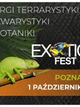 Baner promujący wydarzenie. Nazwa wydarzenia i data.