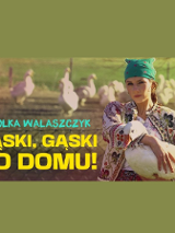 Baner promujący wydarzenie. Nazwa wydarzenia i zdjęcie artystki.