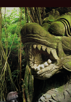 Baner promujący wydarzenie. Nazwa wydarzenia i data.