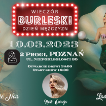 Baner promujący wydarzenie. Nazwa wydarzenia, data i zdjęcie Artystki.