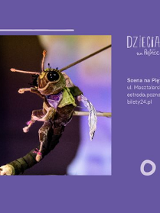 Baner promujący wydarzenie. Nazwa wydarzenia i zdjęcie artystów.