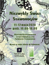 Baner promujący wydarzenie. Nazwa wydarzenia.