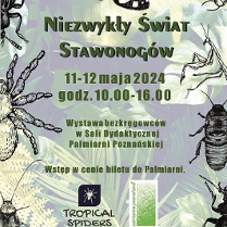 Baner promujący wydarzenie. Nazwa wydarzenia.