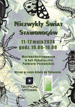 Baner promujący wydarzenie. Nazwa wydarzenia.