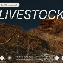 Baner promujący wydarzenie. Nazwa wydarzenia.