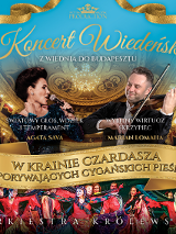 Baner promujący wydarzenie. Nazwa wydarzenia i zdjęcie artysty.