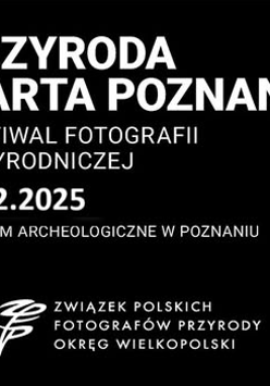 Baner promujący wydarzenie. Nazwa wydarzenia i data.