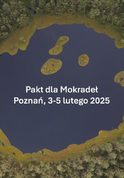 Baner promujący wydarzenie. Nazwa wydarzenia i data.