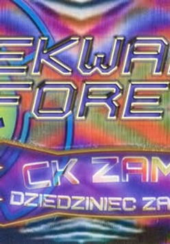 Baner promujący wydarzenie. Nazwa wydarzenia.