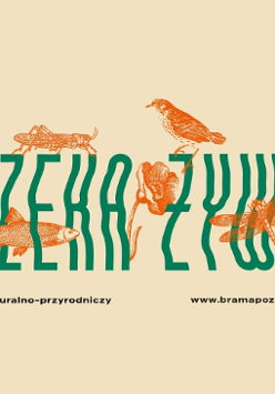 Baner promujący wydarzenie. Nazwa wydarzenia.