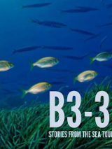 Baner promujący wydarzenie. Nazwa wydarzeania.