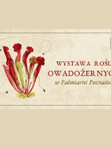 baner rośliny owadożerne